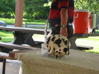 Dalmation Casserole!