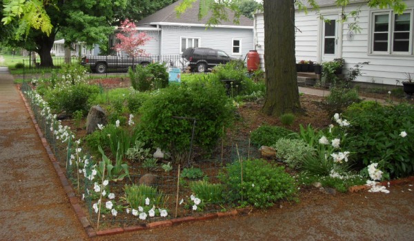 The front yard is all white flowers except for the tri-color Beach tree