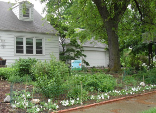 Front Yard Looking to the East