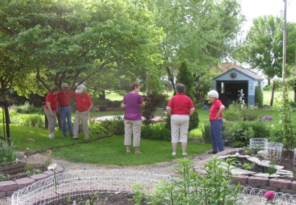 Although Not Part of the Criteria for Yard of the Month, Lions Visit Gwen's Backyard